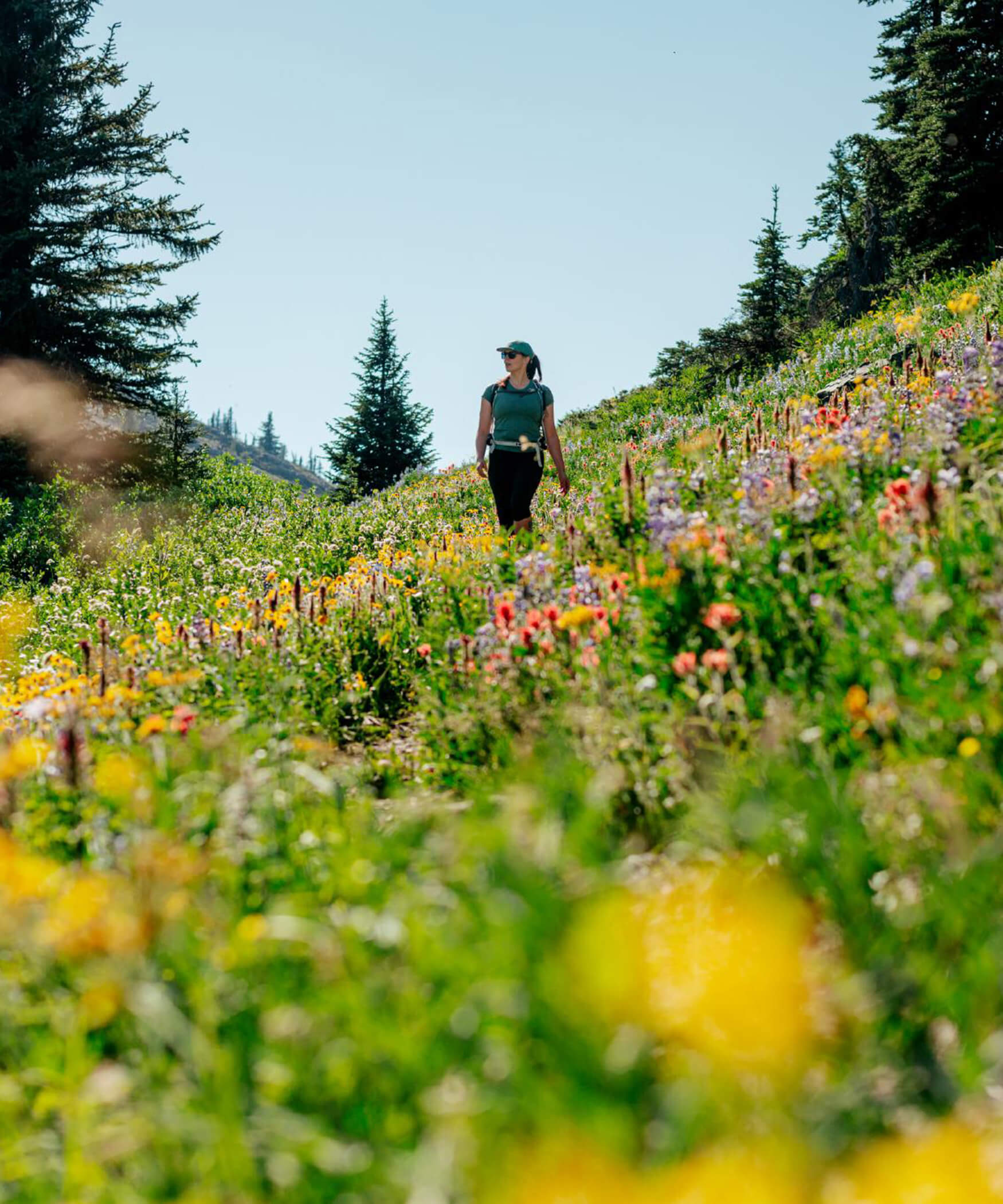 A woman walking through a flower meadow