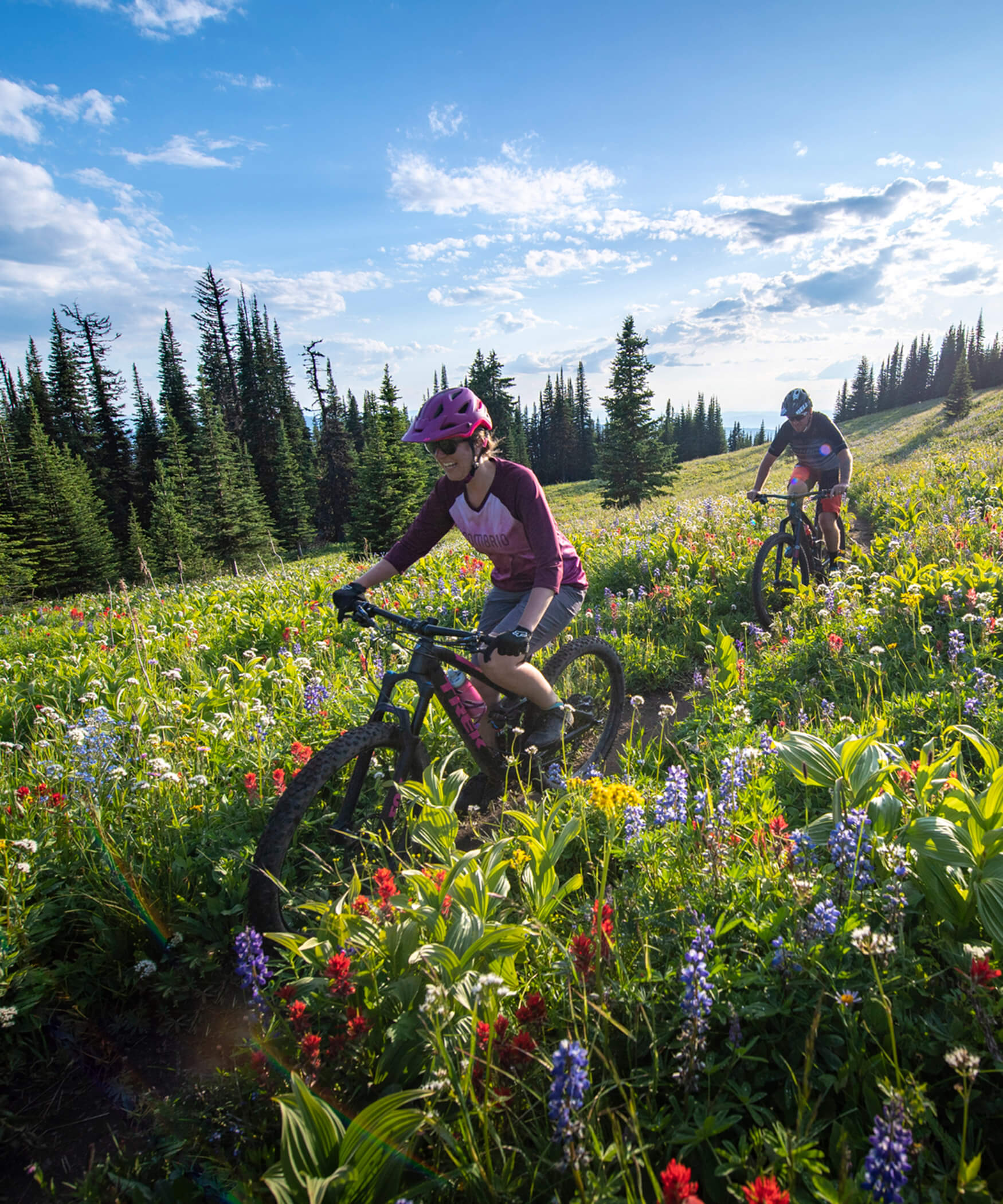Two mountain bikers riding on a path through a flower meadow