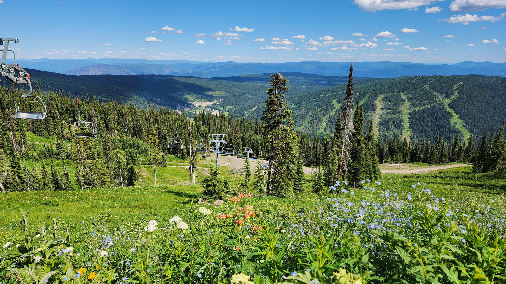 Hiking trail in summer